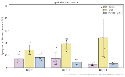 Bar graph of synapses per neuron across Day 7, Day 10, and Day 14 for Control, GPC5, and Peptide+GPC5 conditions